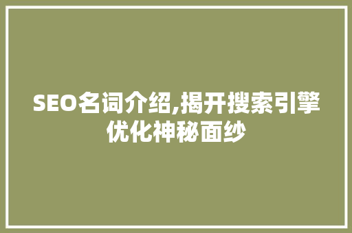 SEO名词介绍,揭开搜索引擎优化神秘面纱