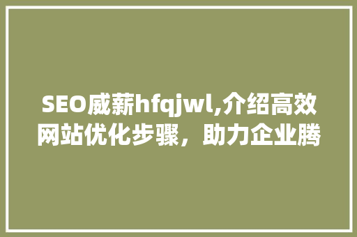 SEO威薪hfqjwl,介绍高效网站优化步骤，助力企业腾飞