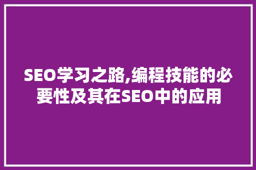 SEO学习之路,编程技能的必要性及其在SEO中的应用