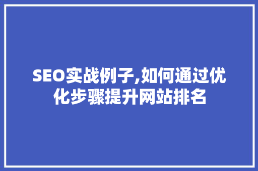 SEO实战例子,如何通过优化步骤提升网站排名