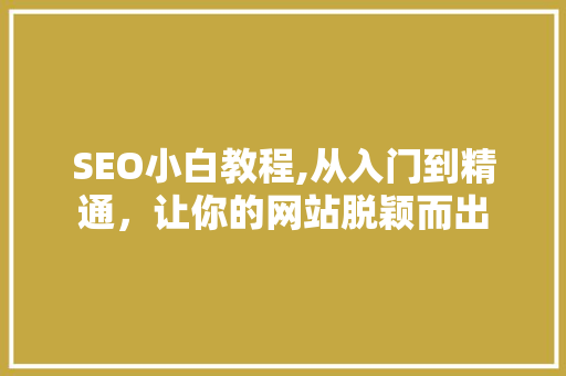 SEO小白教程,从入门到精通，让你的网站脱颖而出