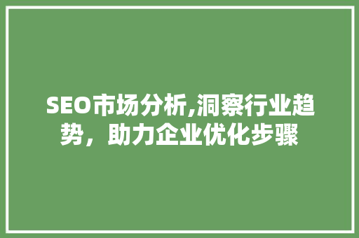 SEO市场分析,洞察行业趋势，助力企业优化步骤