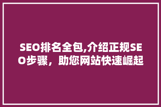 SEO排名全包,介绍正规SEO步骤，助您网站快速崛起