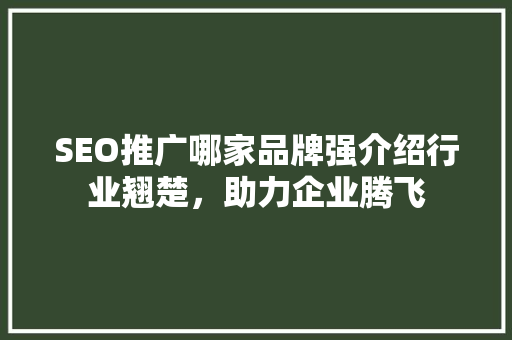 SEO推广哪家品牌强介绍行业翘楚，助力企业腾飞