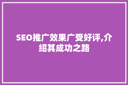 SEO推广效果广受好评,介绍其成功之路