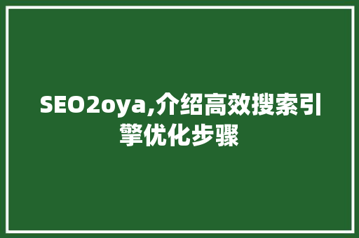 SEO2oya,介绍高效搜索引擎优化步骤