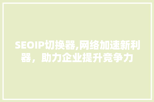 SEOIP切换器,网络加速新利器，助力企业提升竞争力