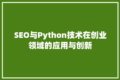 SEO与Python技术在创业领域的应用与创新