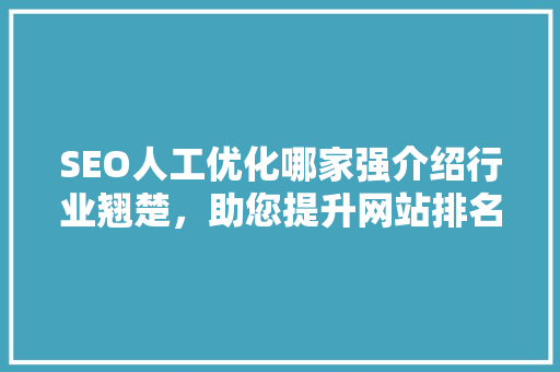 SEO人工优化哪家强介绍行业翘楚，助您提升网站排名