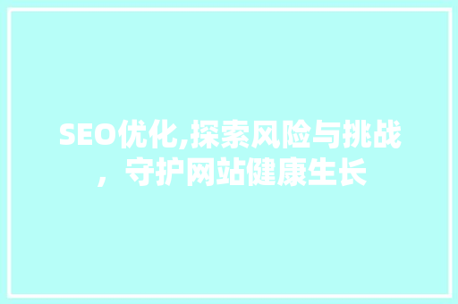 SEO优化,探索风险与挑战，守护网站健康生长