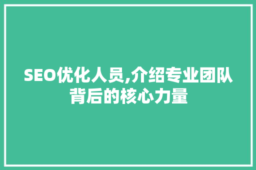 SEO优化人员,介绍专业团队背后的核心力量