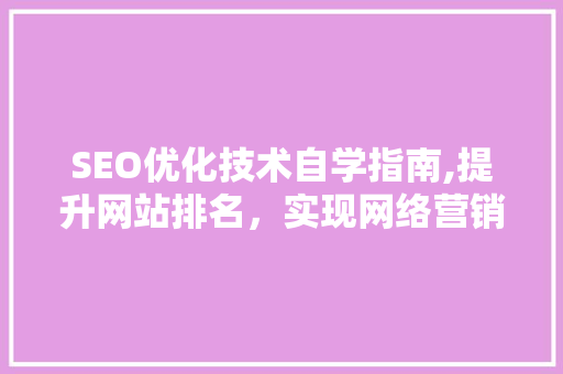 SEO优化技术自学指南,提升网站排名，实现网络营销