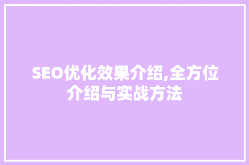 SEO优化效果介绍,全方位介绍与实战方法