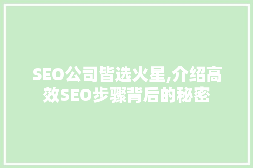SEO公司皆选火星,介绍高效SEO步骤背后的秘密