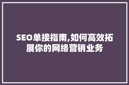 SEO单接指南,如何高效拓展你的网络营销业务