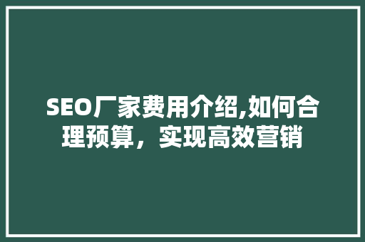 SEO厂家费用介绍,如何合理预算，实现高效营销