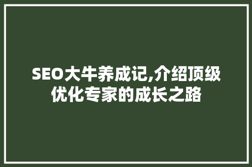 SEO大牛养成记,介绍顶级优化专家的成长之路