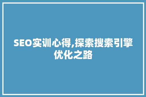 SEO实训心得,探索搜索引擎优化之路