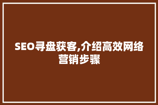 SEO寻盘获客,介绍高效网络营销步骤
