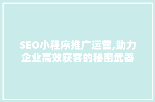 SEO小程序推广运营,助力企业高效获客的秘密武器