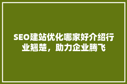 SEO建站优化哪家好介绍行业翘楚，助力企业腾飞