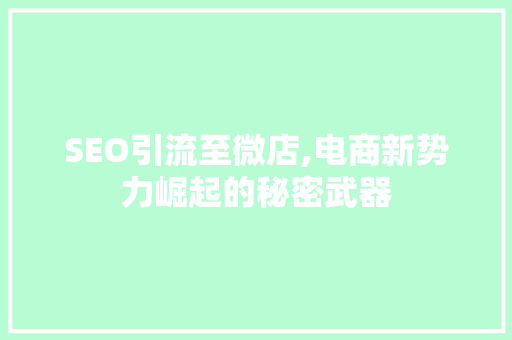 SEO引流至微店,电商新势力崛起的秘密武器