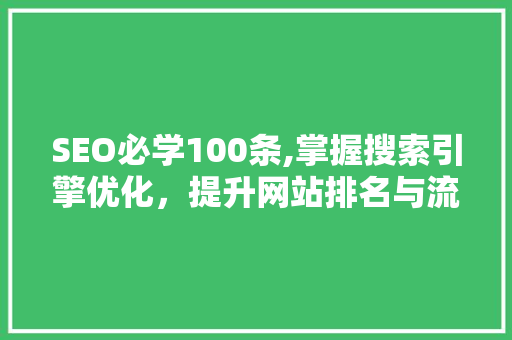 SEO必学100条,掌握搜索引擎优化，提升网站排名与流量