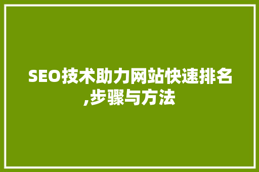 SEO技术助力网站快速排名,步骤与方法  第1张