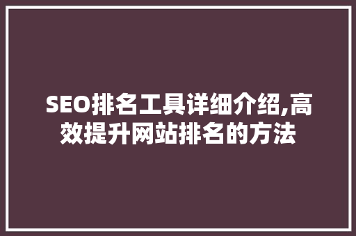 SEO排名工具详细介绍,高效提升网站排名的方法