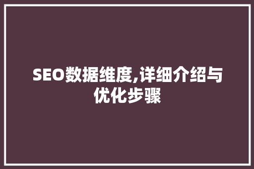 SEO数据维度,详细介绍与优化步骤