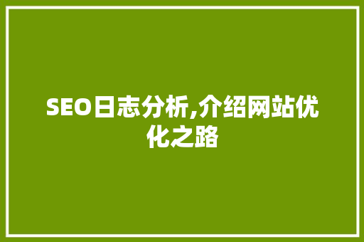 SEO日志分析,介绍网站优化之路