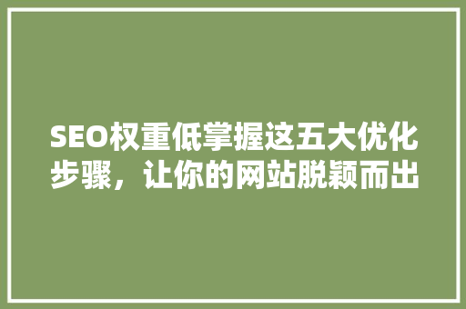 SEO权重低掌握这五大优化步骤，让你的网站脱颖而出！