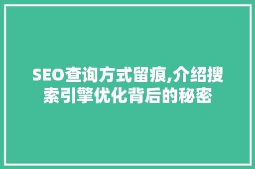 SEO查询方式留痕,介绍搜索引擎优化背后的秘密
