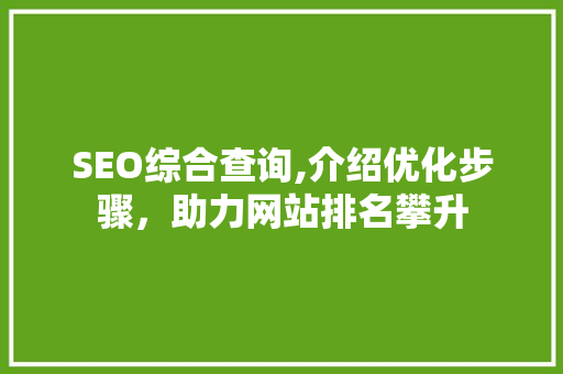 SEO综合查询,介绍优化步骤，助力网站排名攀升