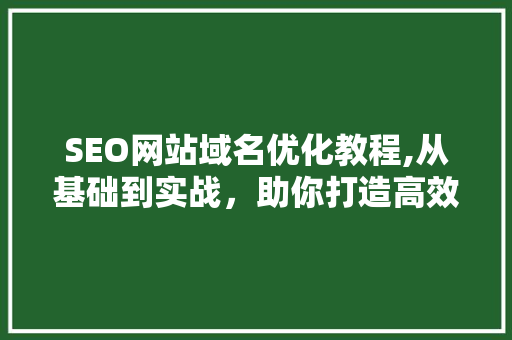 SEO网站域名优化教程,从基础到实战，助你打造高效搜索引擎排名