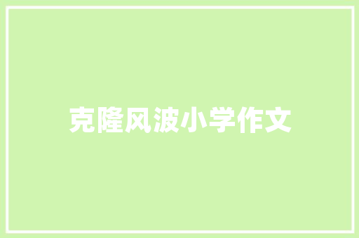 SEO蜘蛛池打造攻略,如何构建高效的网络蜘蛛池，提升网站SEO排名