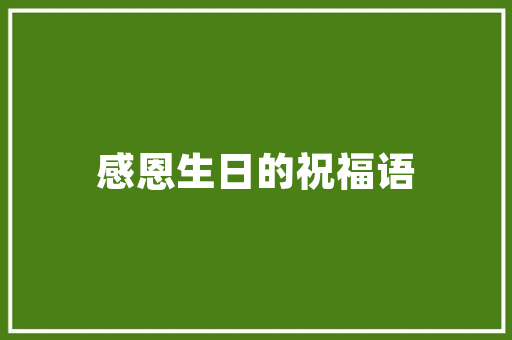 SEO见效付费,介绍其可靠性及适用性