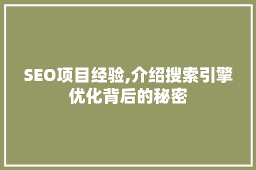 SEO项目经验,介绍搜索引擎优化背后的秘密