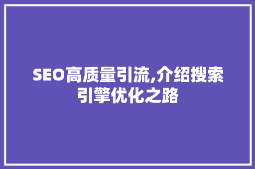 SEO高质量引流,介绍搜索引擎优化之路