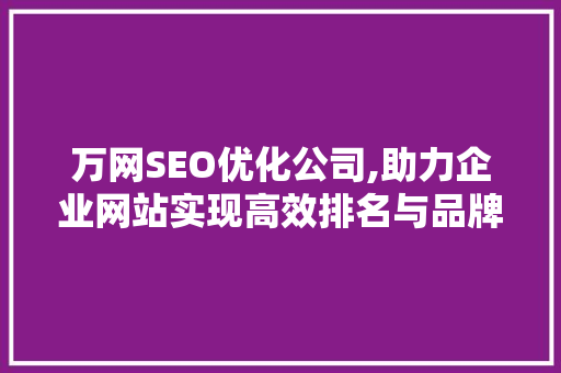 万网SEO优化公司,助力企业网站实现高效排名与品牌增值