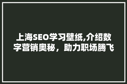上海SEO学习壁纸,介绍数字营销奥秘，助力职场腾飞