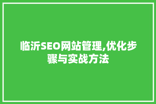 临沂SEO网站管理,优化步骤与实战方法