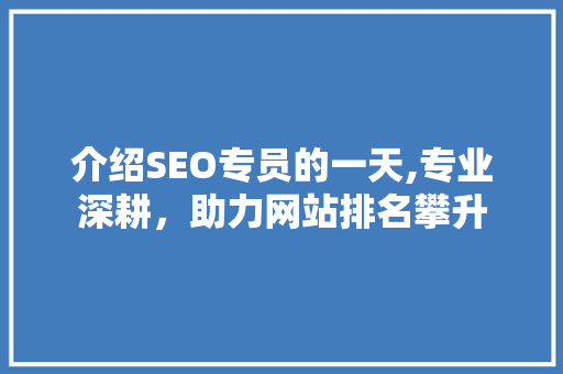 介绍SEO专员的一天,专业深耕，助力网站排名攀升
