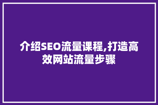 介绍SEO流量课程,打造高效网站流量步骤