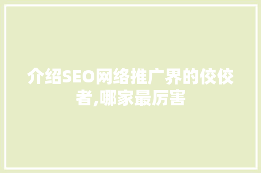 介绍SEO网络推广界的佼佼者,哪家最厉害