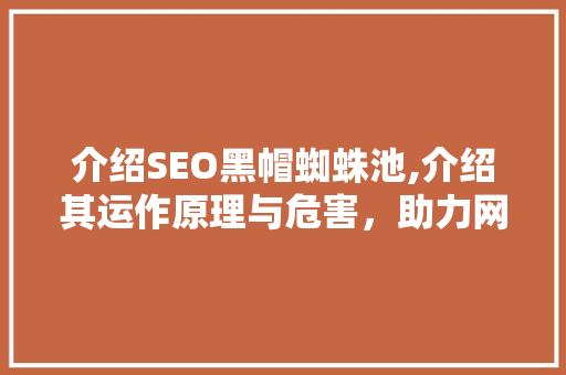介绍SEO黑帽蜘蛛池,介绍其运作原理与危害，助力网络环境净化