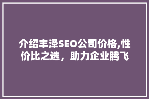 介绍丰泽SEO公司价格,性价比之选，助力企业腾飞