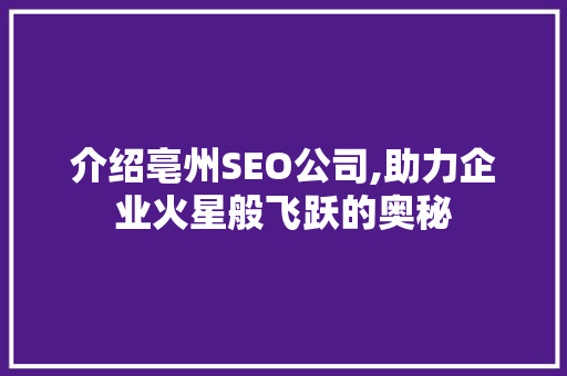介绍亳州SEO公司,助力企业火星般飞跃的奥秘