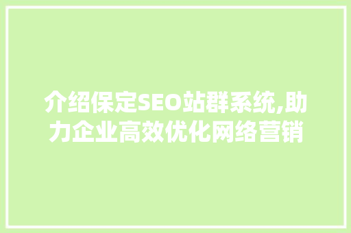 介绍保定SEO站群系统,助力企业高效优化网络营销