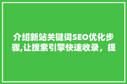 介绍新站关键词SEO优化步骤,让搜索引擎快速收录，提升网站排名